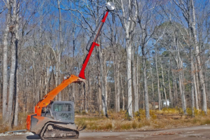 Fecon Telescopic Tree Saw